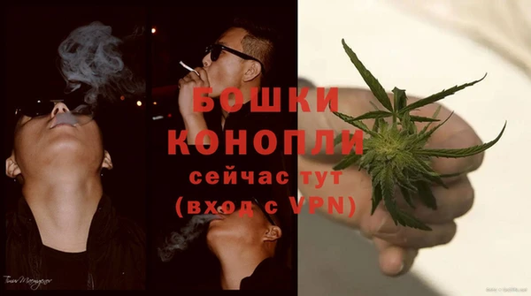 ешки Аркадак