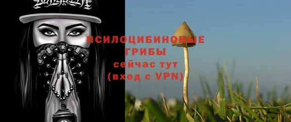 ешки Аркадак
