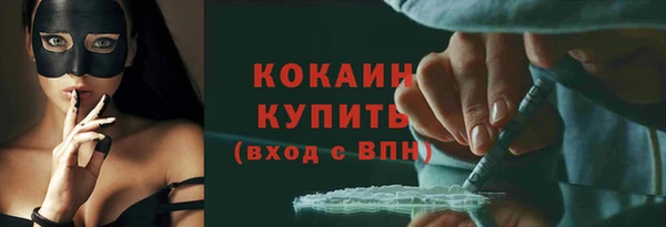 ешки Аркадак