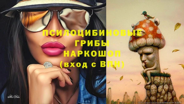 бутират Баксан