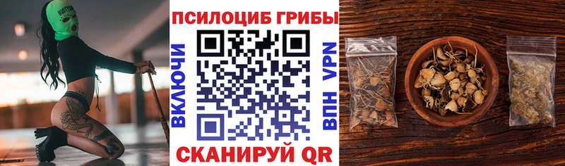 Псилоцибиновые грибы Psilocybine cubensis  Сосновый Бор 